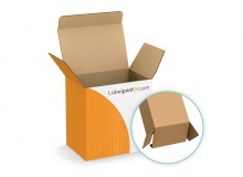 Folding Carton with tuck-in flap - FEFCO 0211