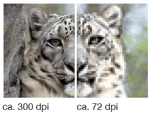 Label print data - resolution of at least 300 dpi